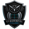 Cyberintel Village